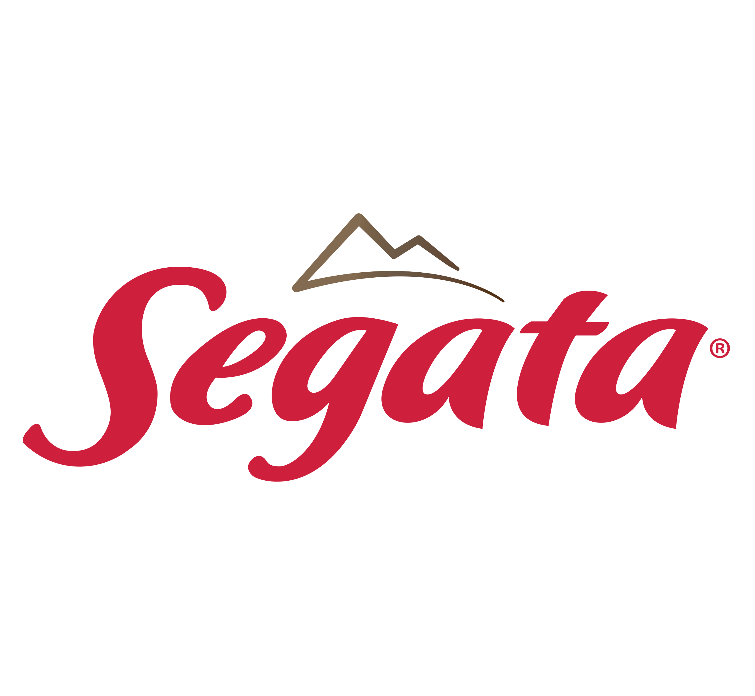 Segata